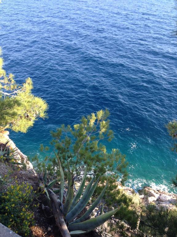 Apartment Dalmatien Traumhaus Makarska Eksteriør bilde