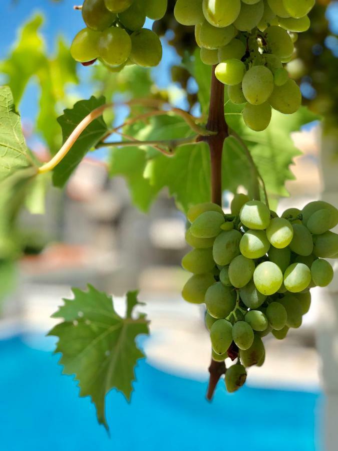 Apartment Dalmatien Traumhaus Makarska Eksteriør bilde